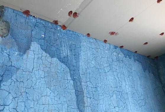 卫生间漏水维修全攻略：从诊断到完美修复(图3)