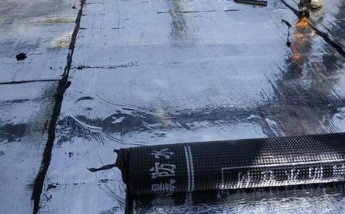 顶级防水堵漏全攻略：攻克渗漏顽疾(图3)