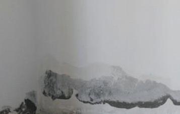 防水堵漏秘籍，让家瞬间滴水不漏